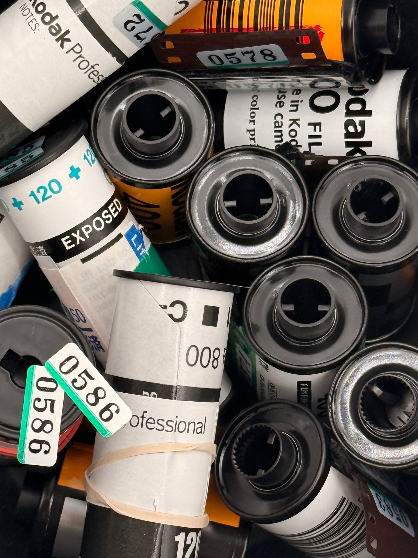 Film Development - 1 Roll