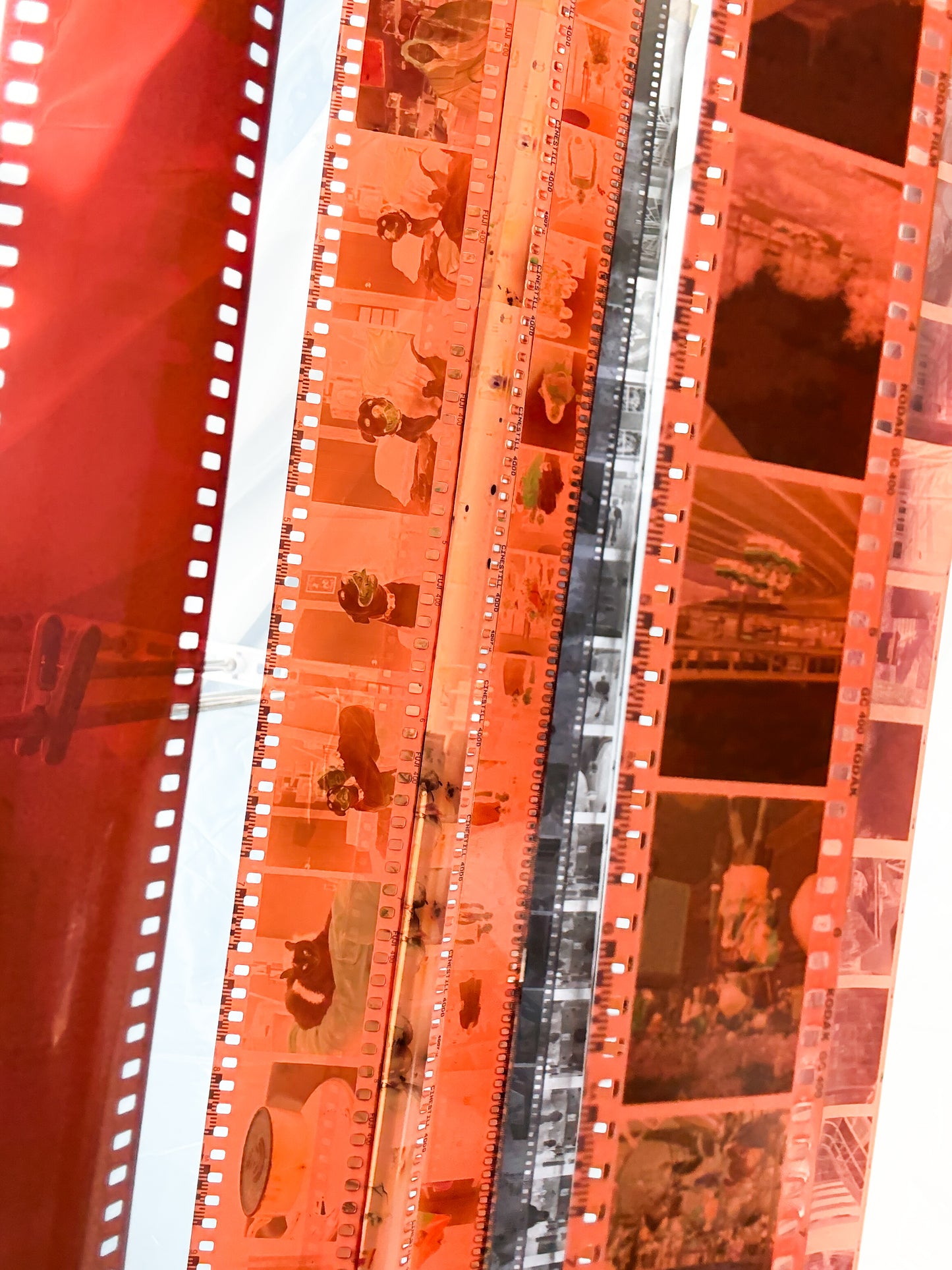 Film Development - 1 Roll